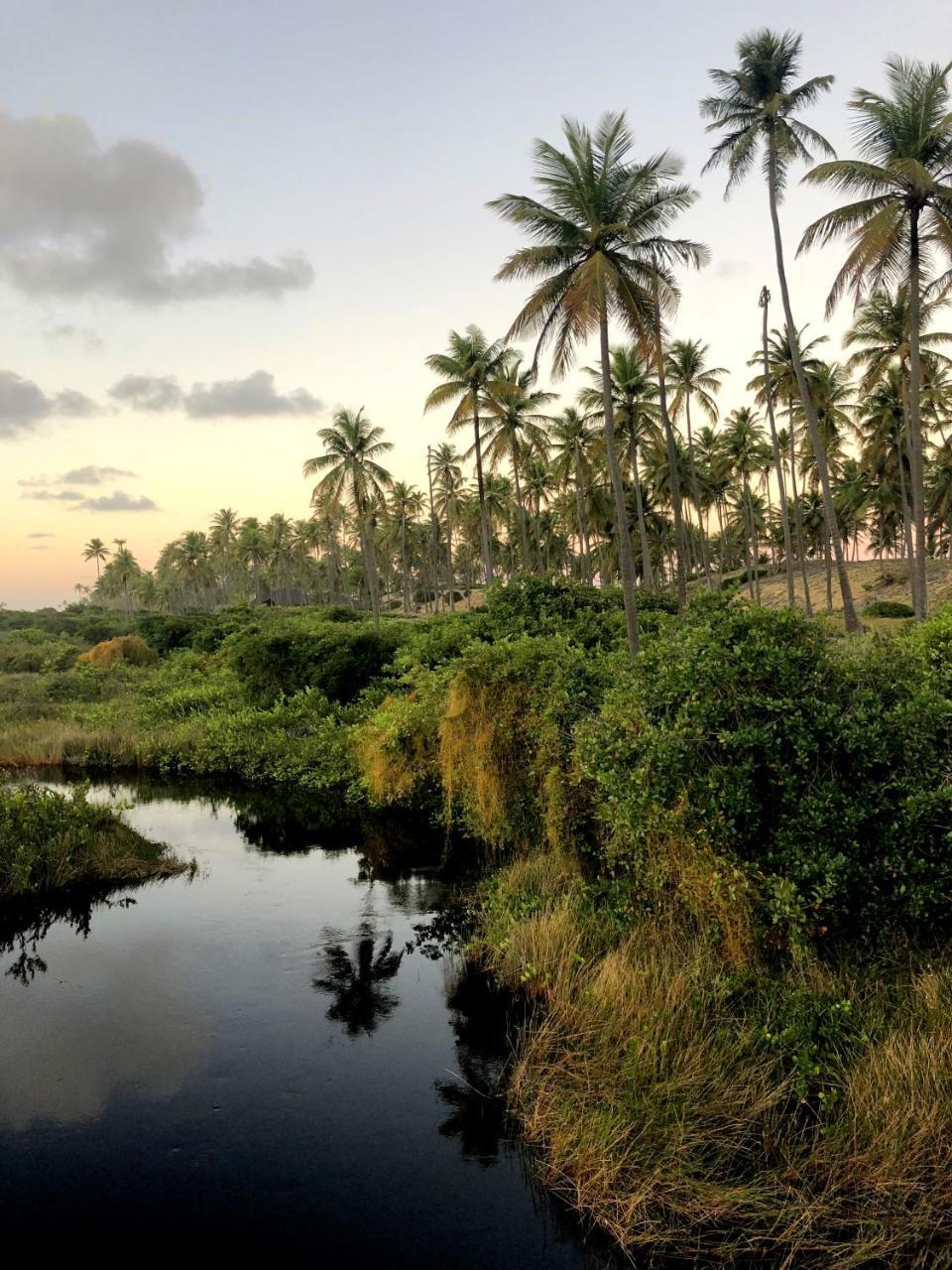 Lindo Village Imbassai Mata de Sao Joao Exteriör bild